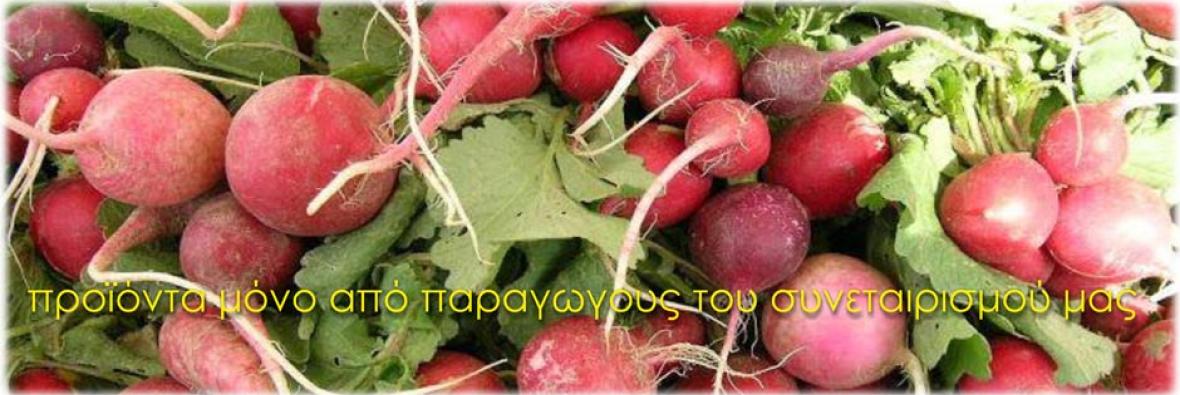 Προϊόντα μόνο απο τους παραγωγούς του συναιτερισμού μας
